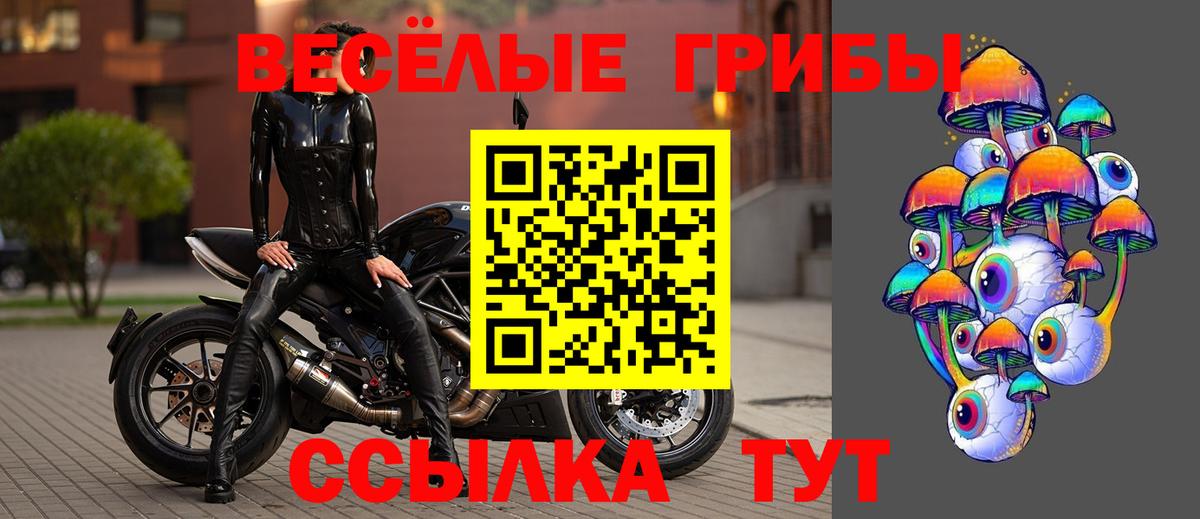 Рыбинск  Псилоцибиновые грибы GOLDEN TEACHER  Вход с VPN 