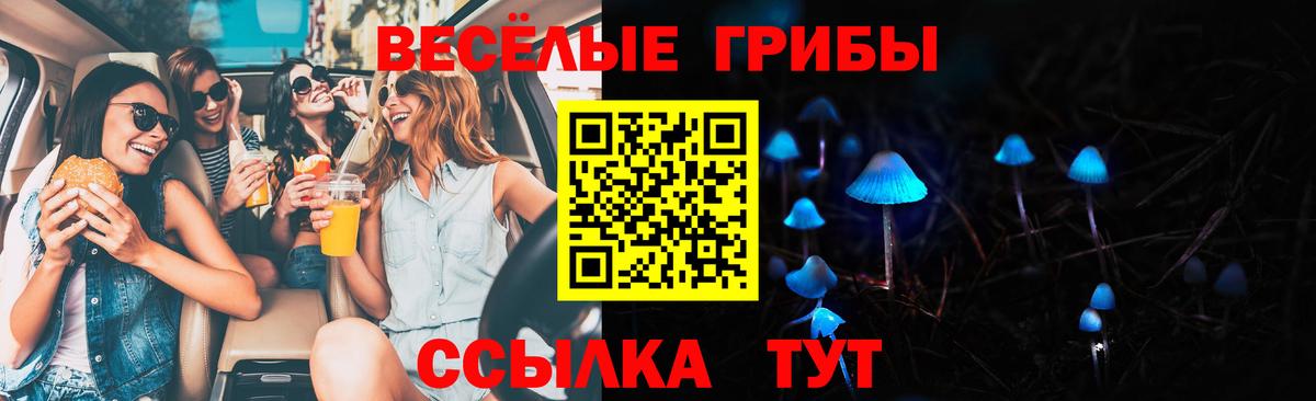 Псилоцибиновые грибы Cubensis Рыбинск